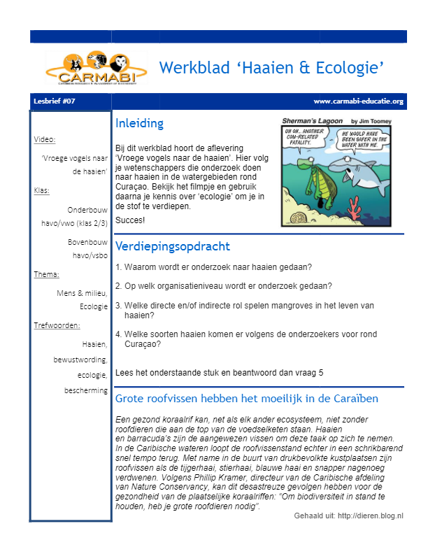 04 werkblad 'Haaien & Ecologie' naar de haaien