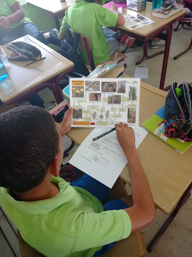 educatie zoekkaarten