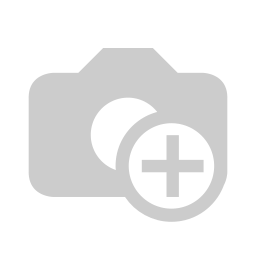 Auditors report 2016