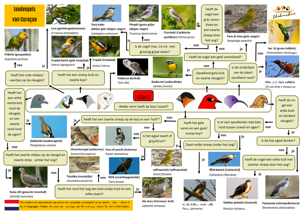 vogels zoekkaart