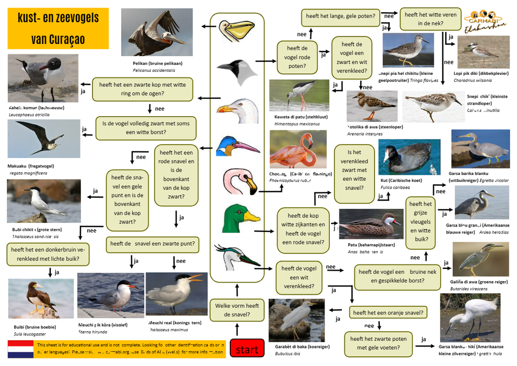 zee- en kustvogels zoekkaart