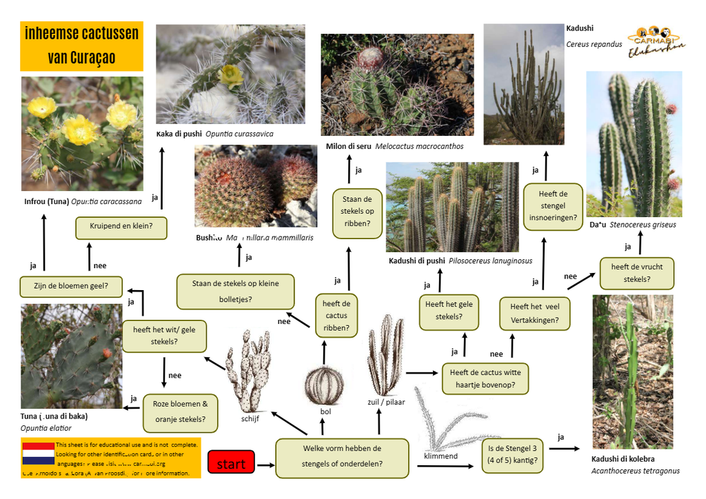 cactussen zoekkaart
