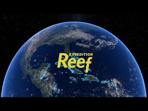 Expedition Reef for Educators | California Academy of Sciences