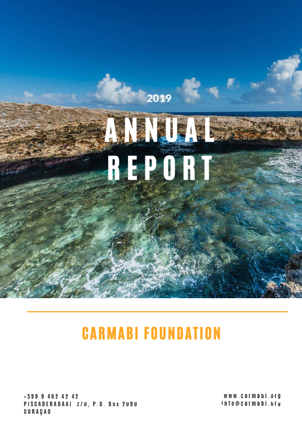 Annual report 2019