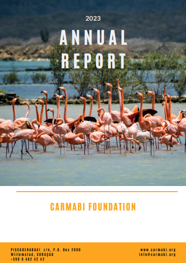 Annual report 2023