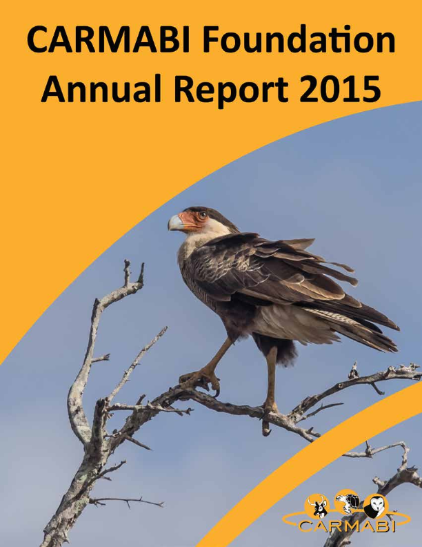 Annual report 2015